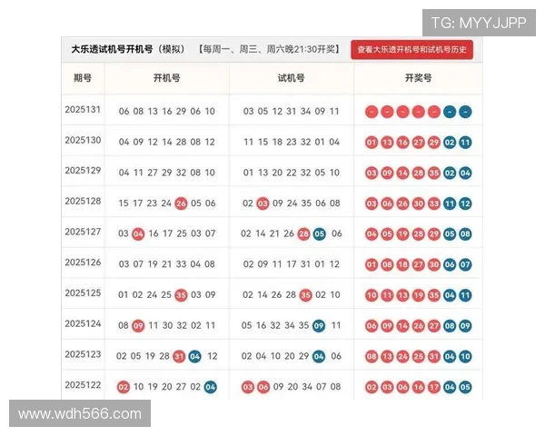 大乐透开奖号码全解析：哪些数字最常出现？
